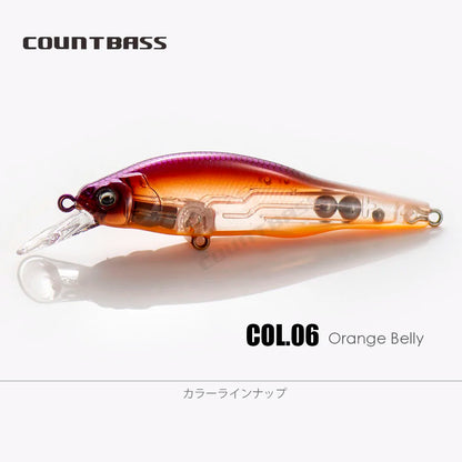 X-80 SW 10.8g COUNTBASS / カウントバス