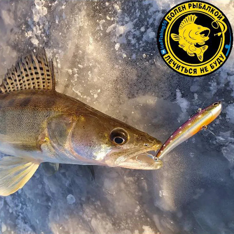 バイブレーション 7.9cm 14g WALK FISH / ウォークフィッシュ