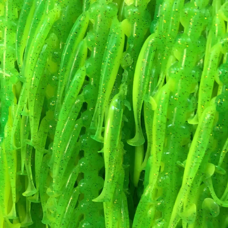 シャッドテールワーム 5〜7cm 50本入 ケース付き WALK FISH / ウォークフィッシュ