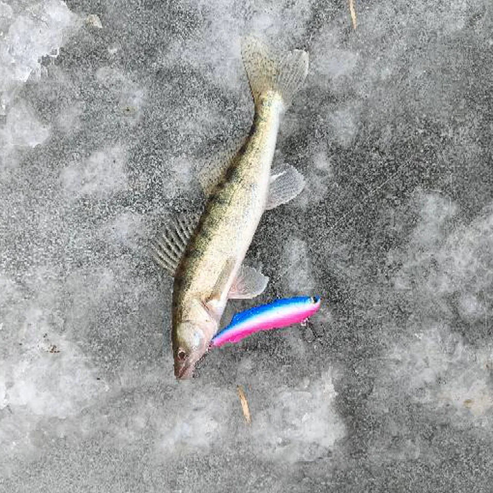 バイブレーション 70/90mm 16〜30g WALK FISH / ウォークフィッシュ
