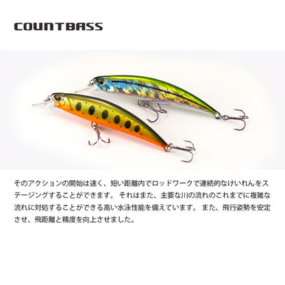 スピアヘッド リュウキ 45mm/60mm/70mm/80mm/95mm COUNTBASS / カウントバス