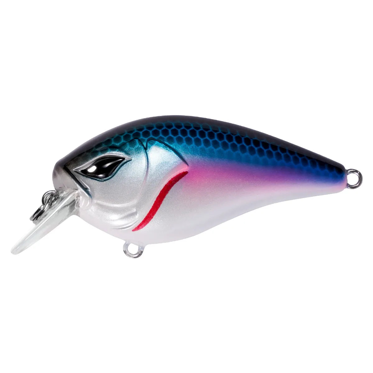 Hunter 65 SB 50mm/8g NOEBY / ノービ