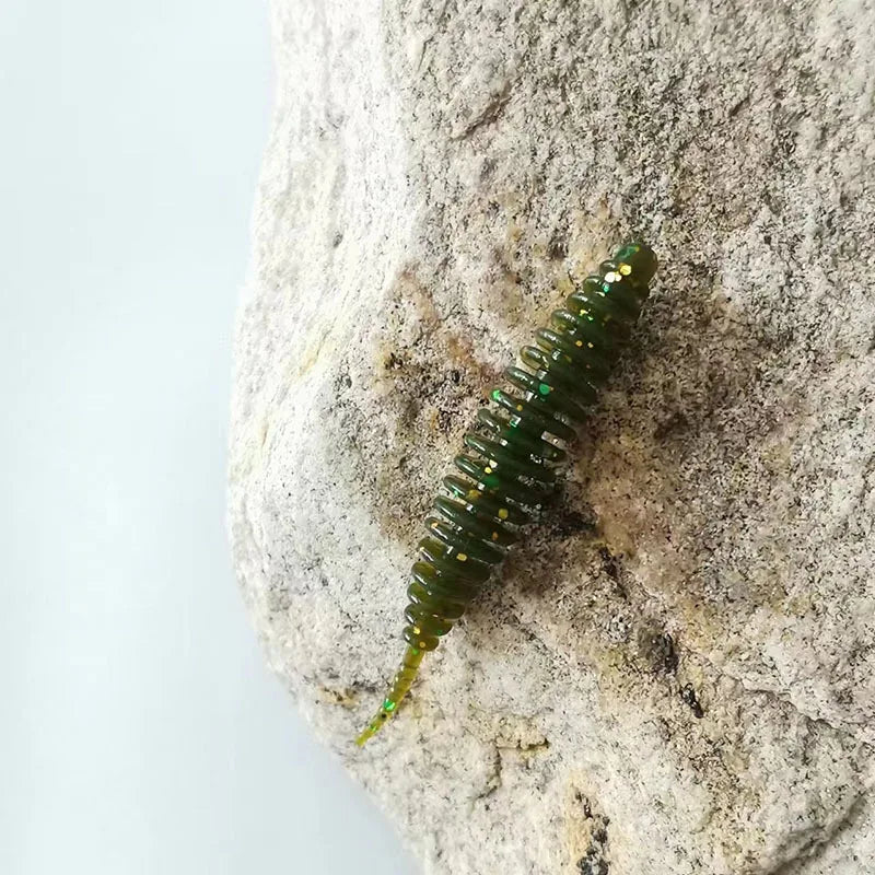 Supercontinent タンタ(リプロダクト) 1.4インチ / 1.9インチ 全7種