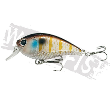 WALK FISH クランクベイト60(リプロダクト) 1/2オンス（13.5g） 全17種 [フローティング]