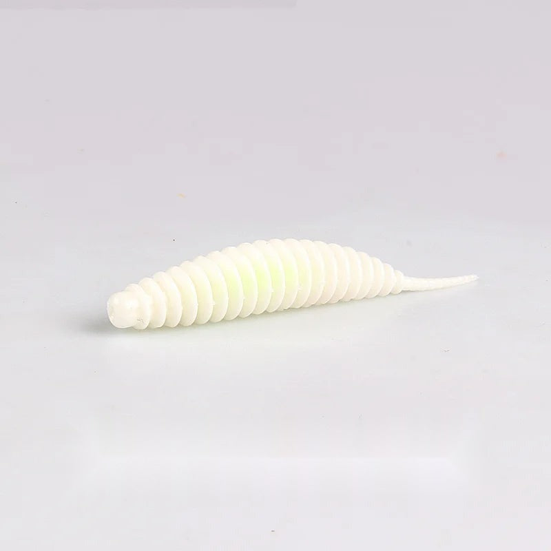 Supercontinent タンタ(リプロダクト) 1.4インチ / 1.9インチ / 2.5インチ 全32種