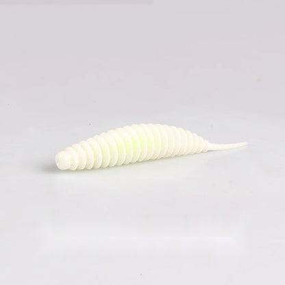 Supercontinent タンタ(リプロダクト) 1.4インチ / 1.9インチ / 2.5インチ 全32種